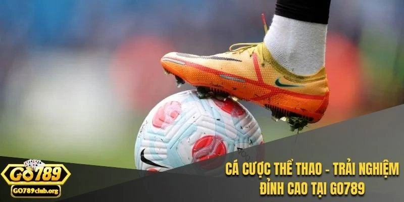 Cá Cược Thể Thao